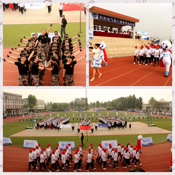 必发集团(股份)有限公司-官方网站